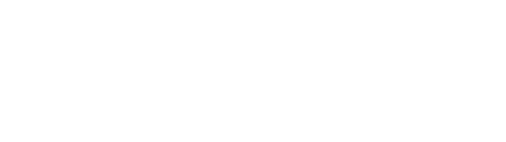 Logo Vitems